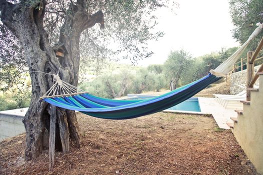 Colorful hammock placed between tree and stairs near swimming pool on sunny summer day