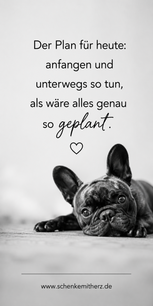 Motivationsspruch in Schwarz-weiß mit einem Hund als Illustration: Einfach unterwegs so tun, als wäre alles genau so geplant.