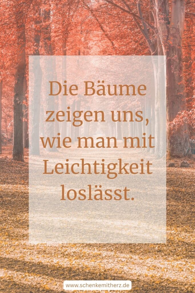 Herbstwald mit bunten Blättern und dem Spruch " Die Bäume zeigen uns, wie man mit Leichtigkeit loslässt."